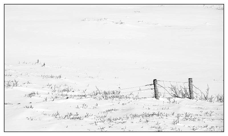 Fence in Snow.jpg